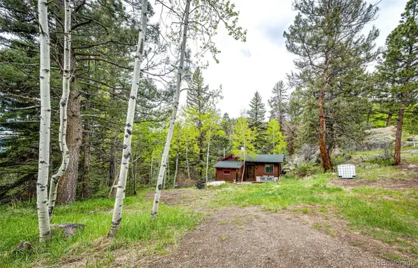 12346 Bear Haven RD, Conifer, CO 80433