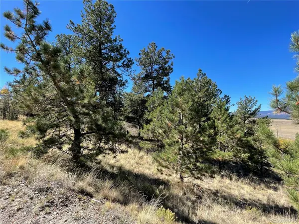 23 Loft WAY, Hartsel, CO 80449