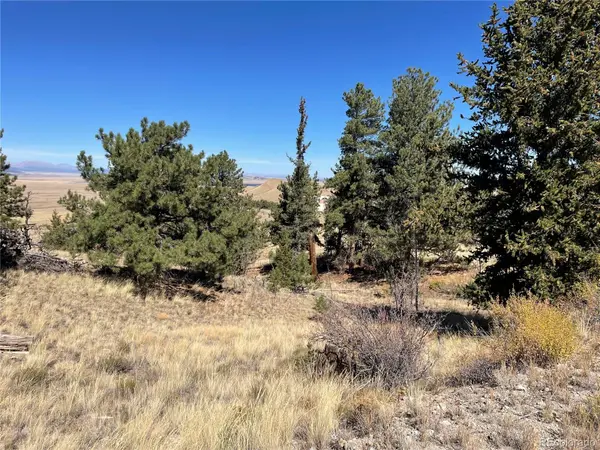 23 Loft WAY, Hartsel, CO 80449