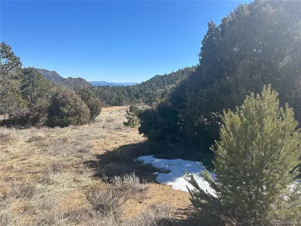 000 Bird Point DR, Cotopaxi, CO 81223