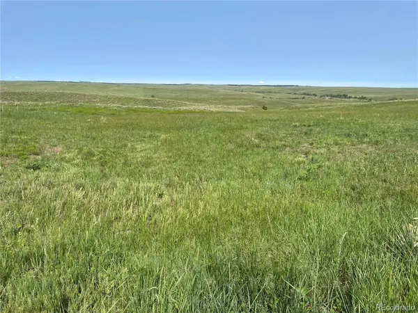 D County Road 166, Agate, CO 80105