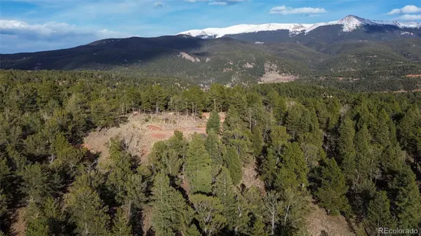 239 Homestead RD, Divide, CO 80814
