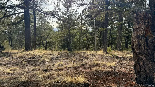 239 Homestead RD, Divide, CO 80814
