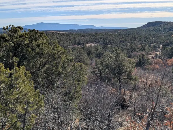 LDS, Boncarbo, CO 81024
