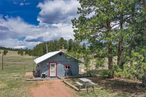 949 Doe Valley RD, Guffey, CO 80820
