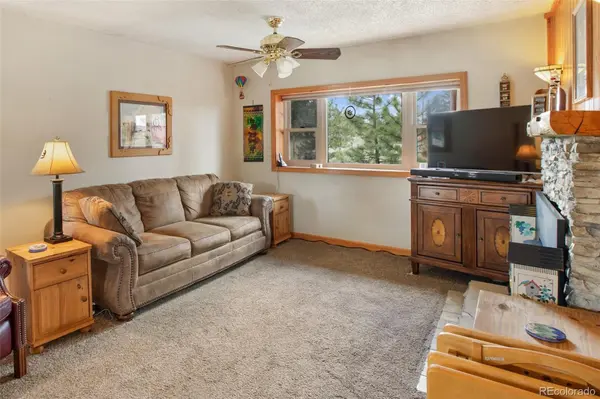 949 Doe Valley RD, Guffey, CO 80820