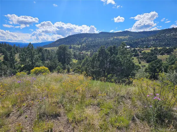 3527 Bear Creek CIR, South Fork, CO 81154