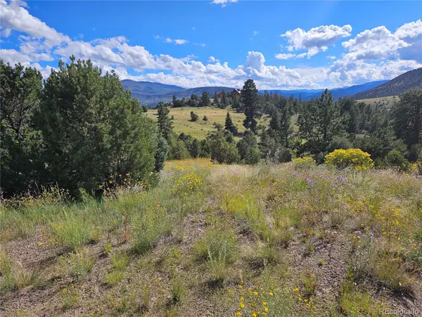 3527 Bear Creek CIR, South Fork, CO 81154