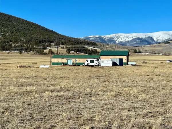164 Red Coachman LN, Fairplay, CO 80440