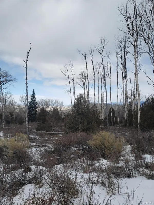 239 Mill RUN, Hooper, CO 81136