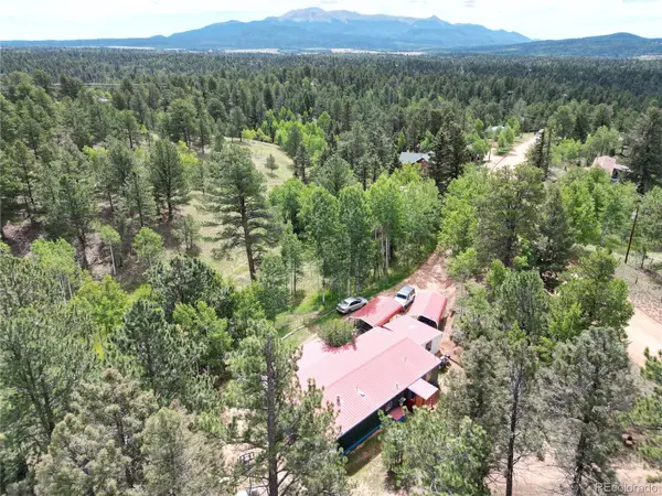 63 Star View TRL, Divide, CO 80814