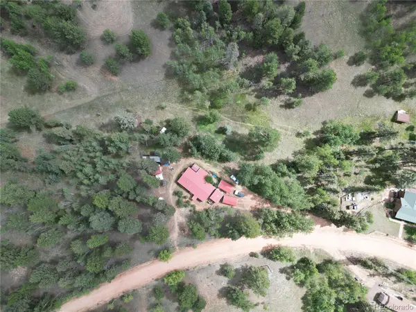 63 Star View TRL, Divide, CO 80814