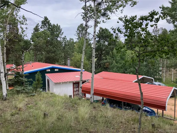 63 Star View TRL, Divide, CO 80814