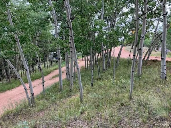 63 Star View TRL, Divide, CO 80814