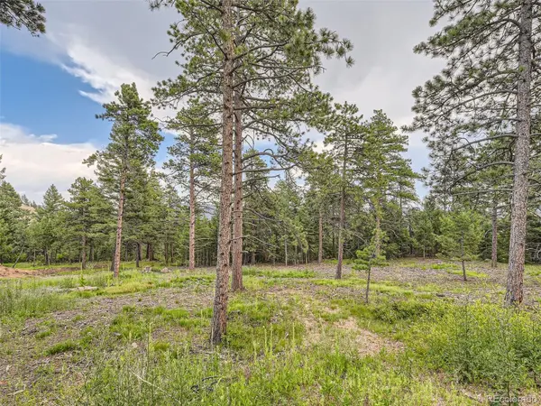 9206 Broken Bow Ranch RD, Morrison, CO 80465