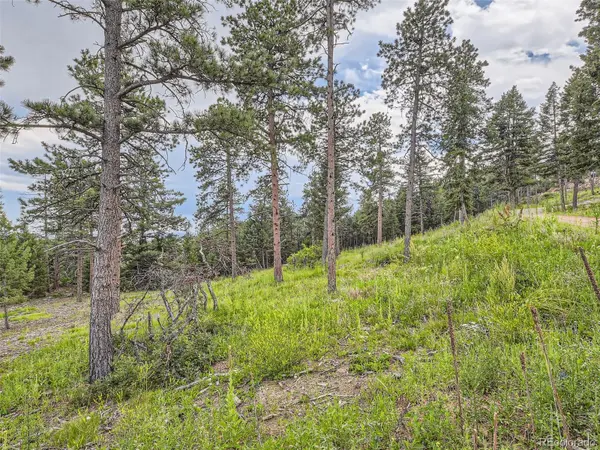 9206 Broken Bow Ranch RD, Morrison, CO 80465