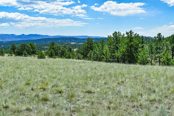 0 Witcher Mountain TRL, Guffey, CO 80820