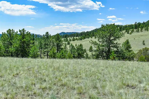 0 Witcher Mountain TRL, Guffey, CO 80820