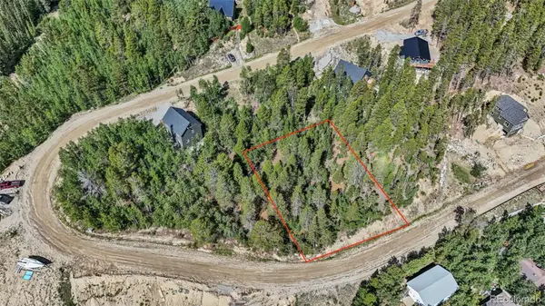 Spruce ST, Alma, CO 80420