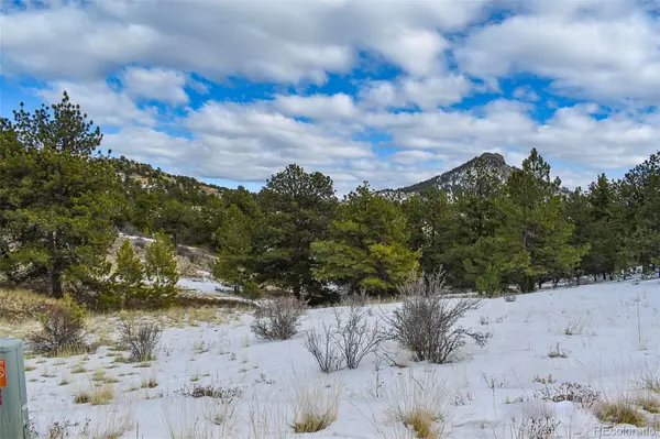 30 Wagon Wheel CIR, Guffey, CO 80820