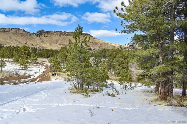 30 Wagon Wheel CIR, Guffey, CO 80820