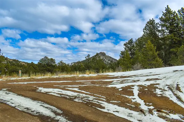 30 Wagon Wheel CIR, Guffey, CO 80820