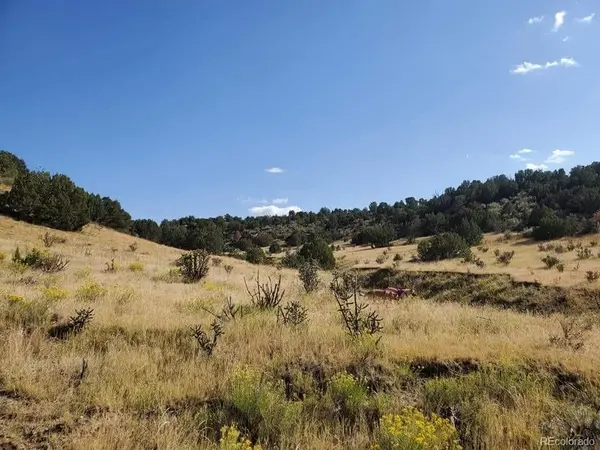 0 Railroad Springs RD, Pueblo, CO 81004
