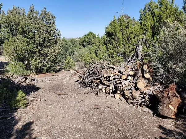0 Railroad Springs RD, Pueblo, CO 81004