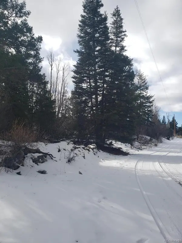 247 Mill RUN, Hooper, CO 81136