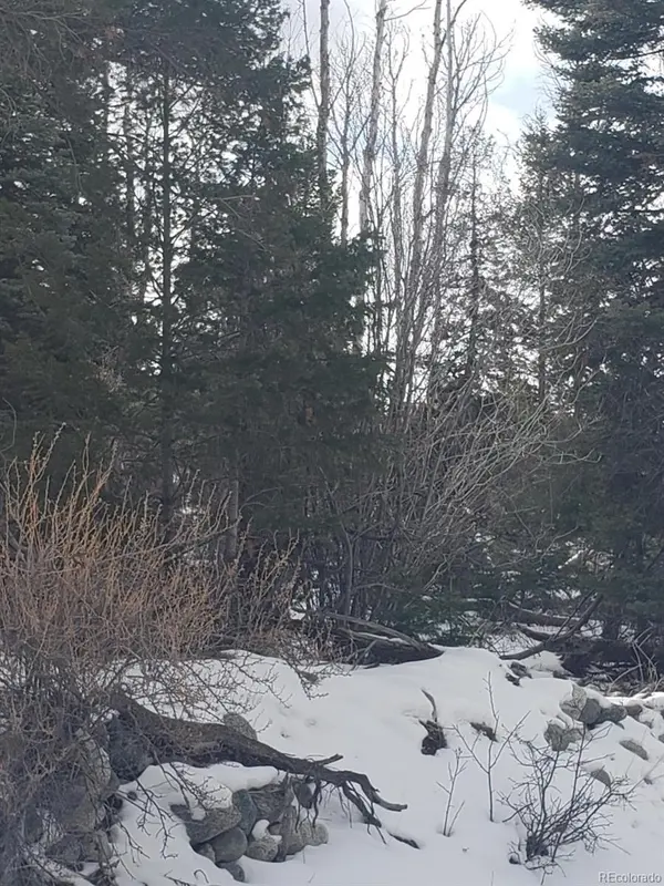 247 Mill RUN, Hooper, CO 81136