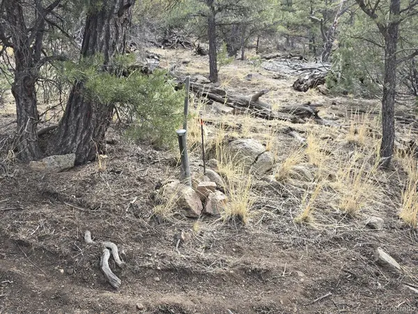 1675 J PATH, Cotopaxi, CO 81223