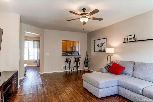 535 Lost Valley PT, Castle Rock, CO 80108