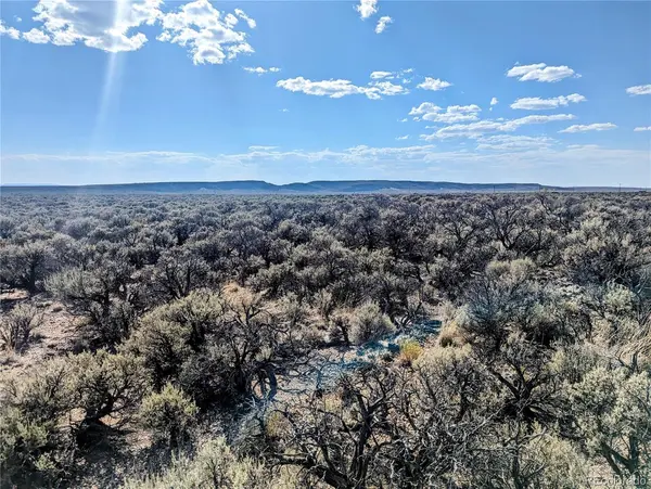 Lot 104 Canal RD, Fort Garland, CO 81133