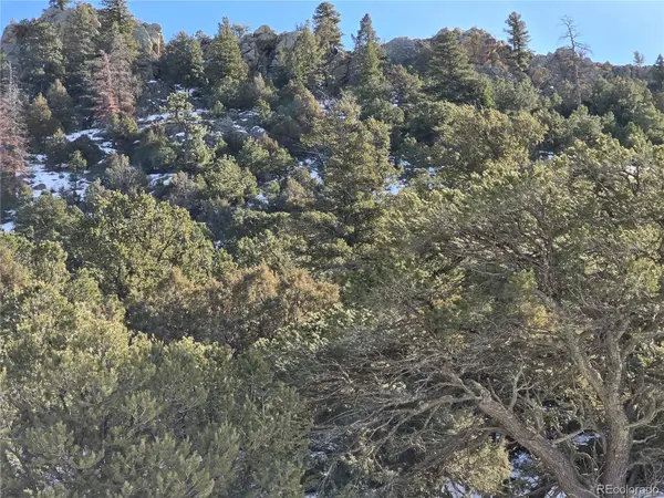 882 Shoshone DR, Canon City, CO 81212