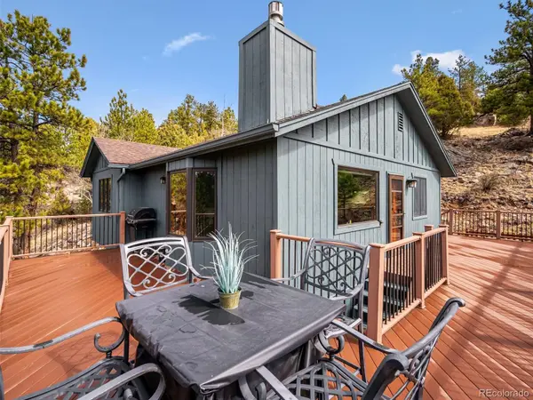 179 Juniper LN, Bailey, CO 80421