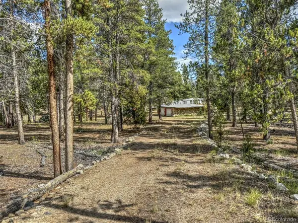 265 Placer DR,  Alma,  CO 80420