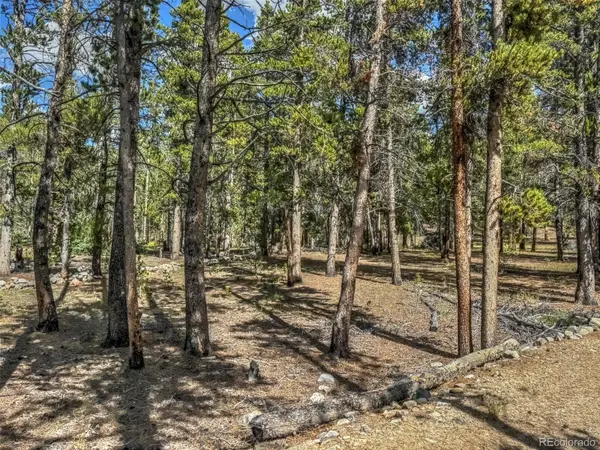 265 Placer DR, Alma, CO 80420