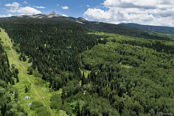 41763 H RD, Cahone, CO 81320