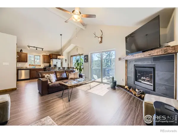 204 Virginia RD,  Bailey,  CO 80421