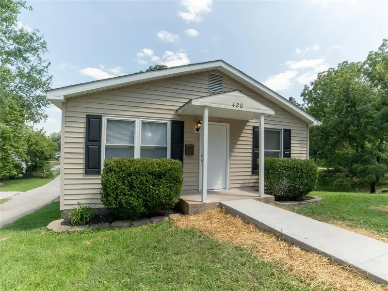 420 Palmer ST, Festus, MO 63028