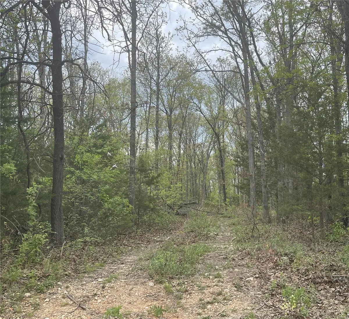0 ELKHORN ROAD, Niangua, MO 65713