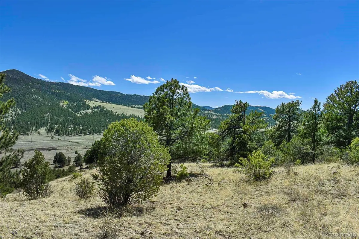 87 Wagon Wheel CIR, Guffey, CO 80820
