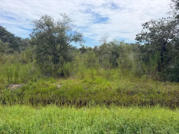 17441 NW 254TH ST, Okeechobee, FL 34972