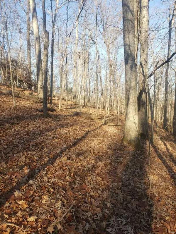 0 WHIPPOORWILL HILL DR, High Ridge, MO 63049