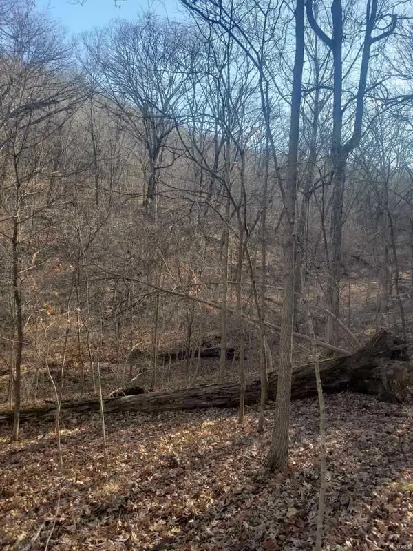 0 WHIPPOORWILL HILL DR, High Ridge, MO 63049