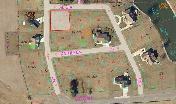 965 Alicia WAY, Staunton, IL 62088