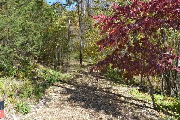436 Lower Hollow LN, Augusta, MO 63332