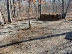 20 Acres Pike 442, Curryville, MO 63339