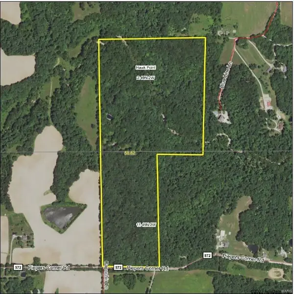 421 Piepers Corner Rd (58.62 Ac), Silex, MO 63377