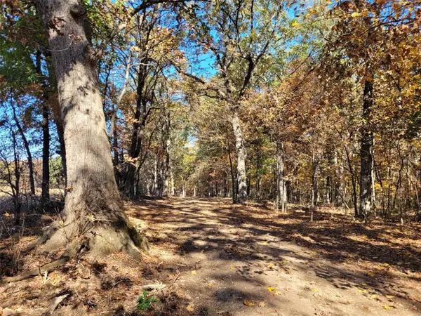421 Piepers Corner Rd (58.62 Ac), Silex, MO 63377